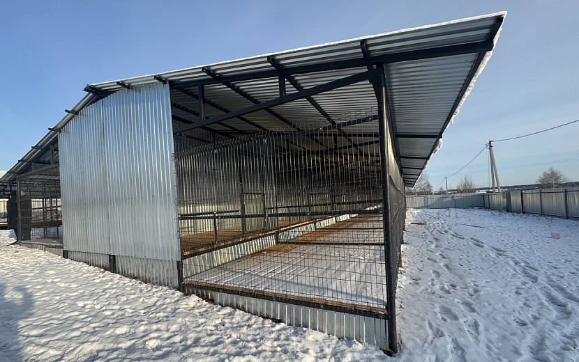 Фото: пресс-служба Главы и правительства Удмуртии