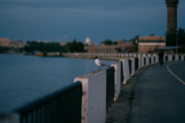 Фото: Мария Бакланова