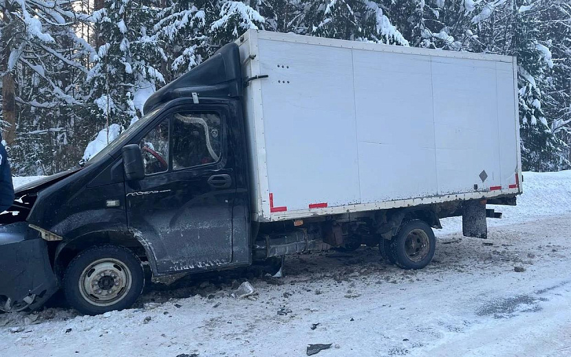 Фото: Госавтоинспекция Удмуртии