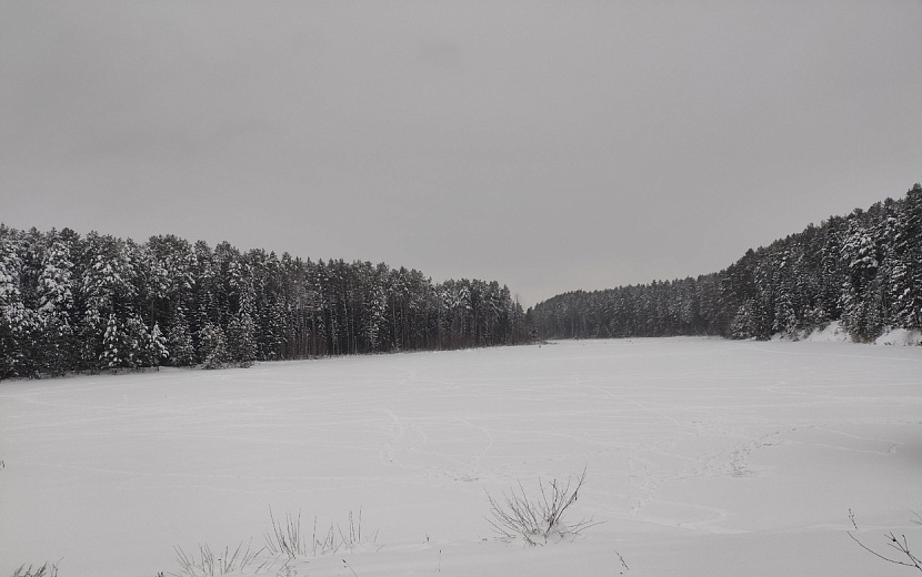 Фото: Таня Трушкова