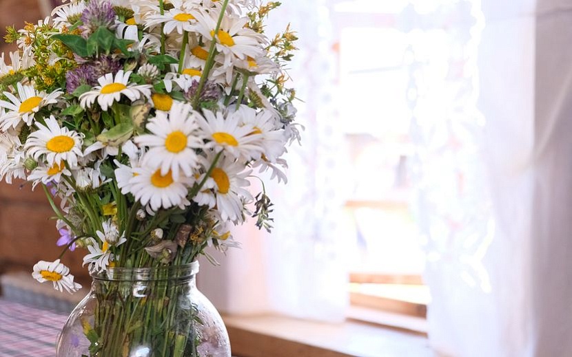 Фото: Алёна Селезнёва