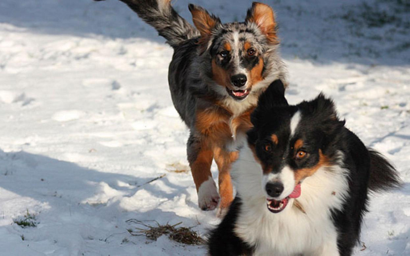 Фото: архив редакции