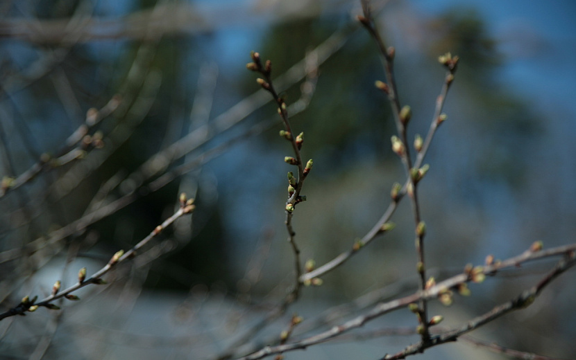 Фото: архив редакции 