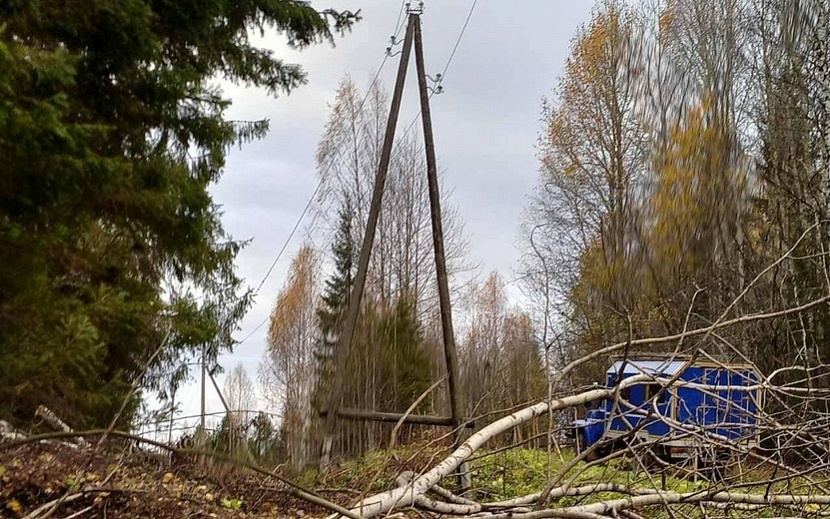 Фото: Ярослав Семенов