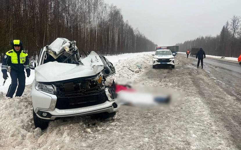Фото: Госавтоинспекция Удмуртии