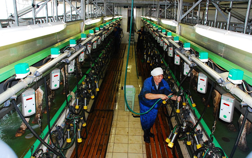 Фото: Константин Ившин