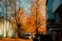 Погода в Ижевске на день: 21 октября будет до +8°С и без осадков