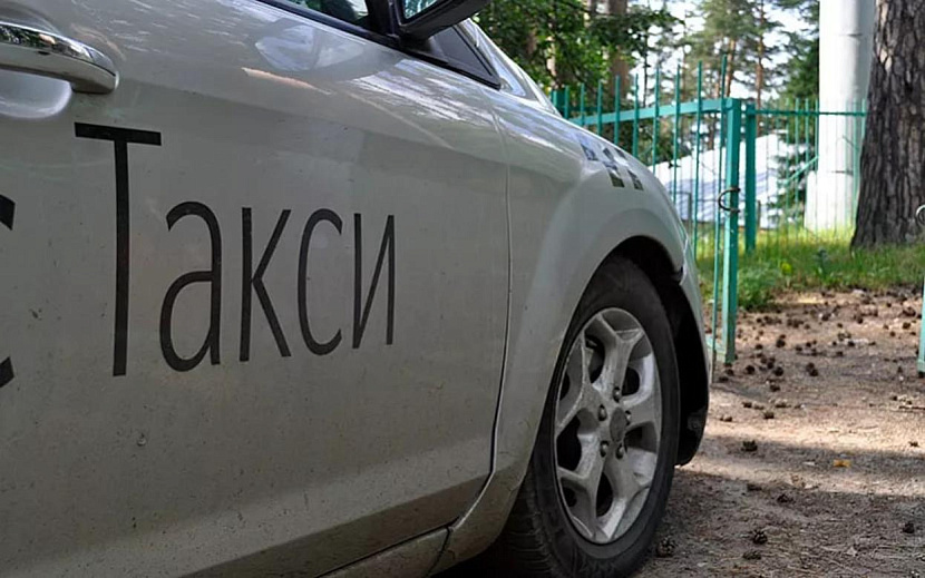 Фото: Алена Селезнева