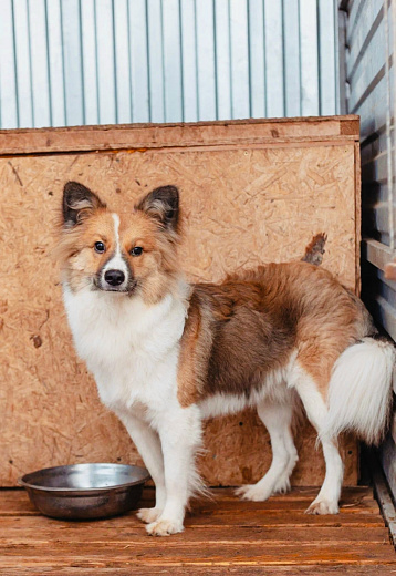 Фото: Екатерина Агафонова