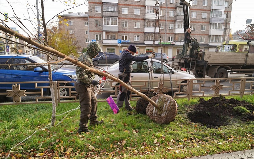 Фото: пресс-служба администрации Ижевска