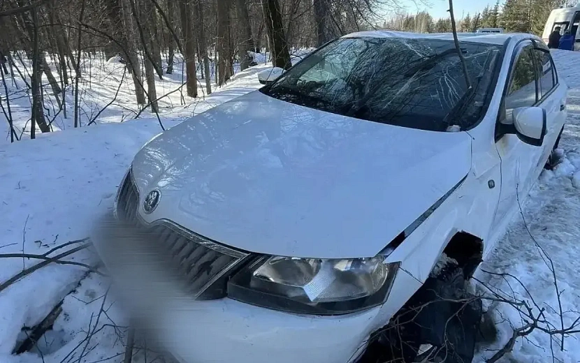 Фото: Госавтоинспекция Удмуртии