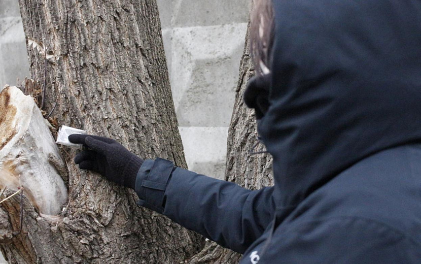Фото: архив редакции 