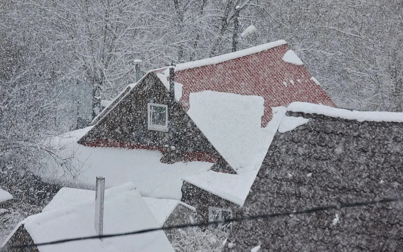 Фото: Сергей Грачев