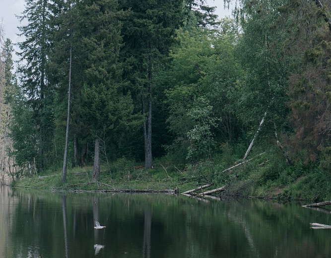 Фото: Мария Бакланова