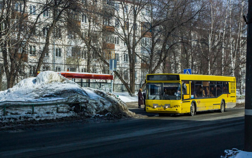 Фото: Сергей Грачев 