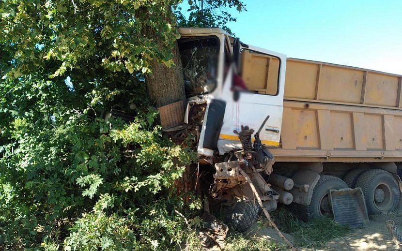 Фото: 1-й отдел УГИБДД по Удмуртии