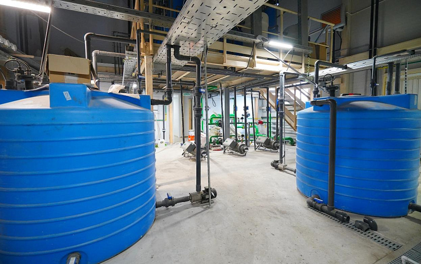 Фото: Дмитрий Чистяков 