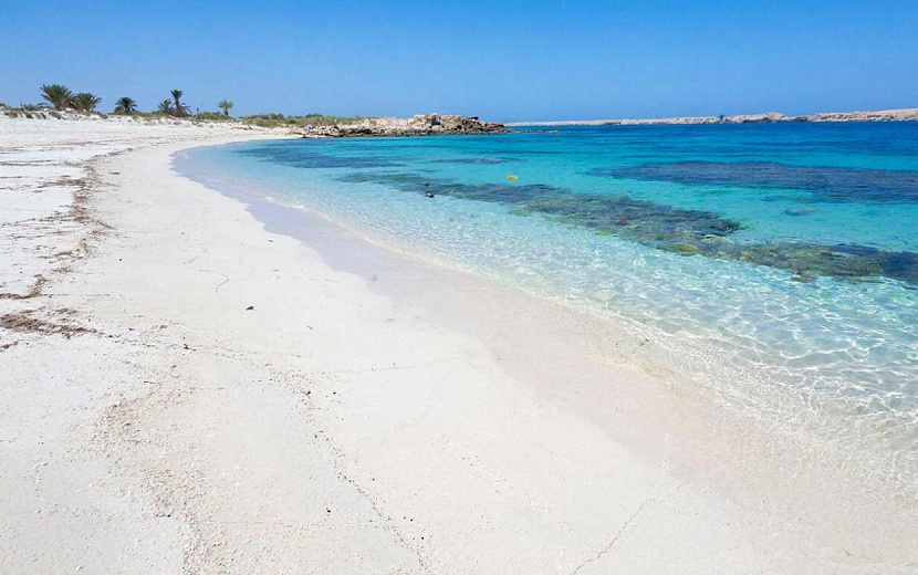 Фото: нейросеть