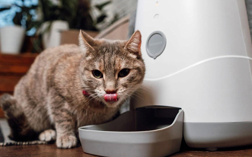 Фото: маркетплейсы