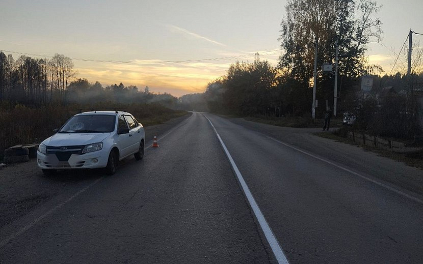 Фото: Госавтоинспекция Удмуртии