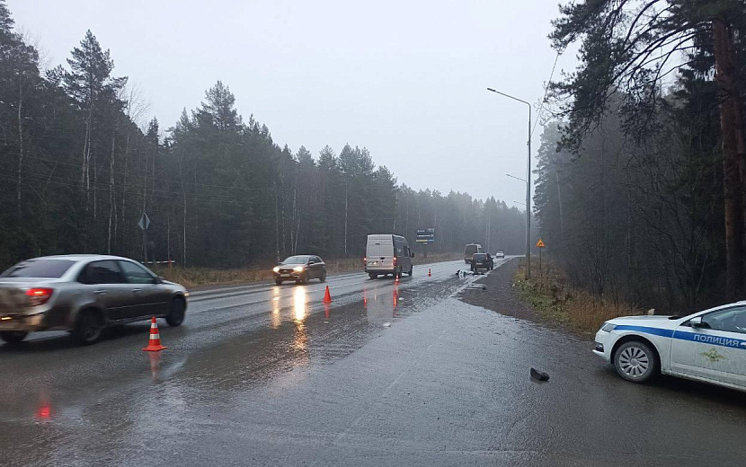 Фото: Госавтоинспекция Удмуртии