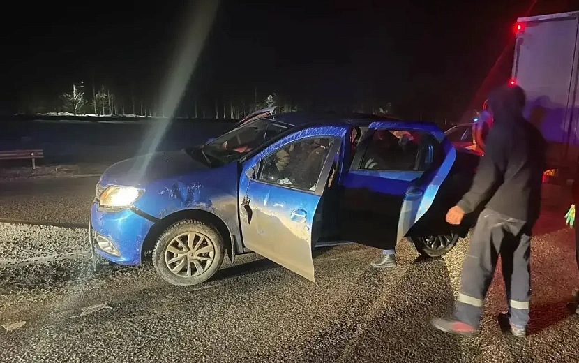 Фото: Госавтоинспекция Удмуртии