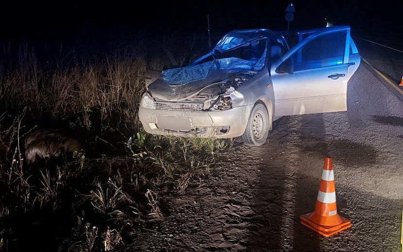 Фото: Госавтоинспекция Удмуртии