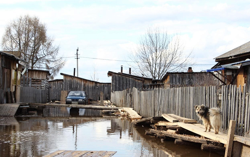 Фото: Сергей Грачев (архив)