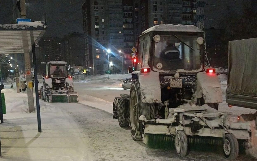 Фото: Дмитрий Чистяков 