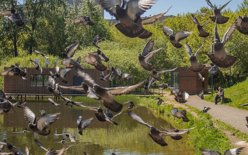 Фото: Данил Иванов