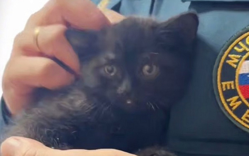 Фото: пресс-служба ГУ МЧС по Удмуртии