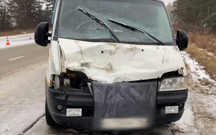 Фото: Госавтоинспекция Удмуртии