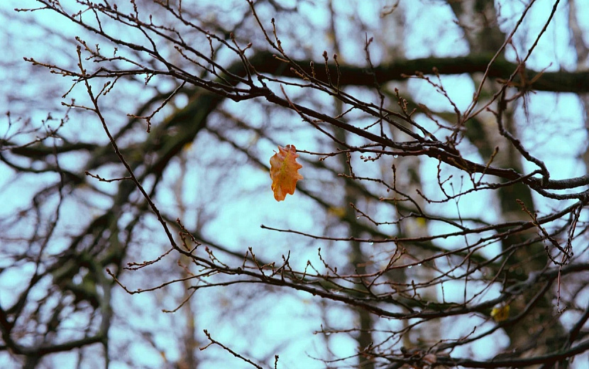 Фото: архив редакции