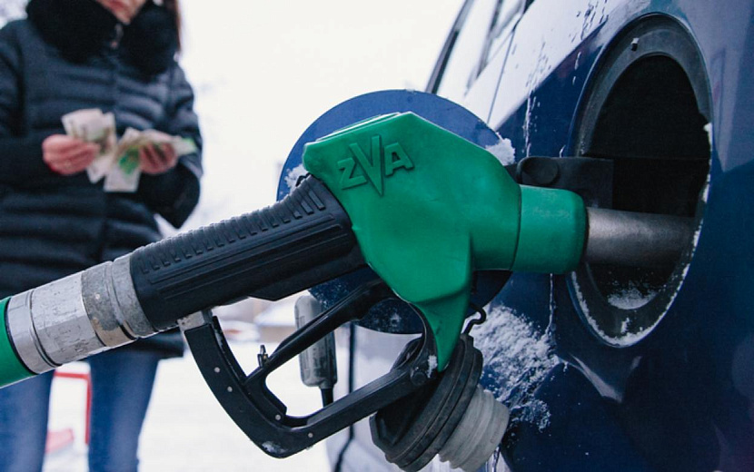 Фото: Сергей Грачев 