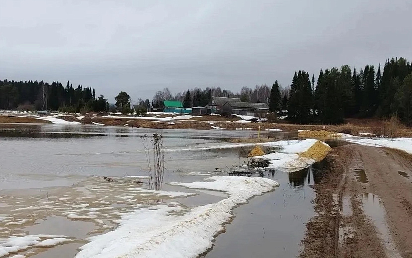Фото: МЧС по Удмуртии