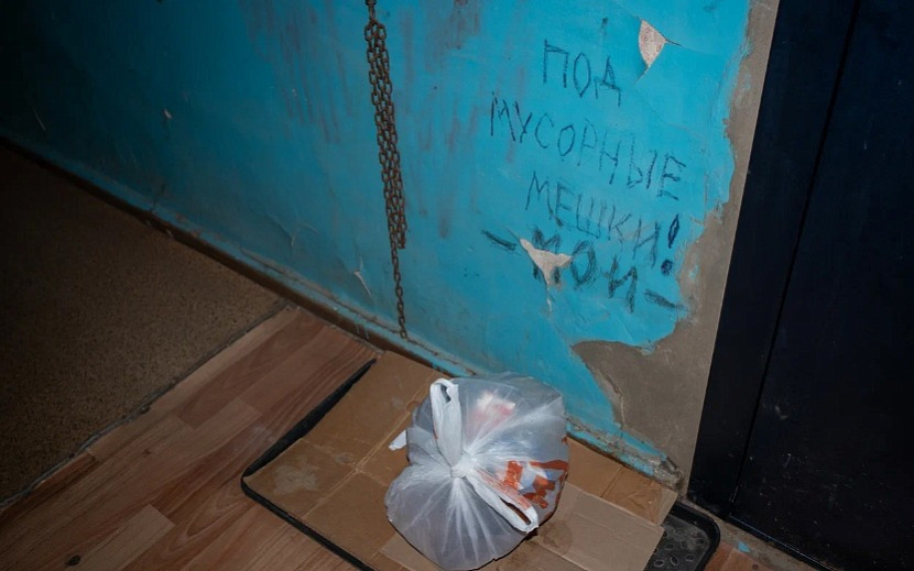 Люди боятся, что после мошек и тараканов в доме появятся вредители покрупнее. Фото: Данил Иванов