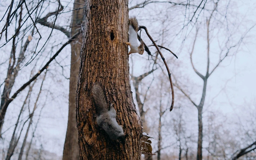  Что обсуждают в Ижевске сегодня? Фото: Бакланова Мария