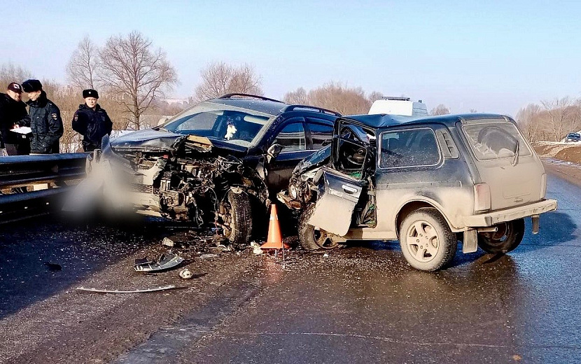 Фото: Госавтоинспекция Удмуртии