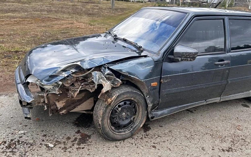 Фото: Госавтоинспекция Удмуртии