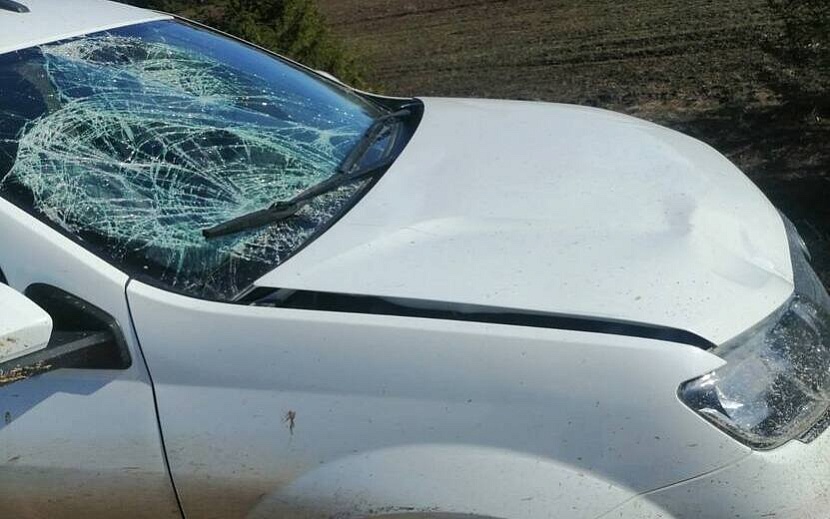 Фото: Госавтоинспекция Удмуртии