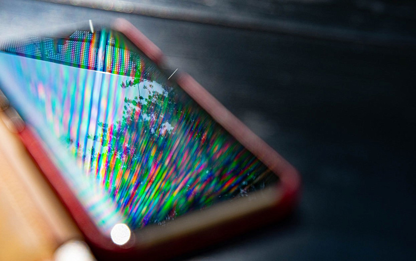 Фото: envato.com