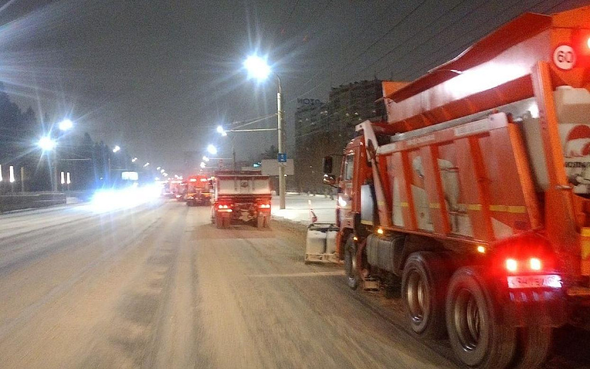 Фото: Дмитрий Чистяков 