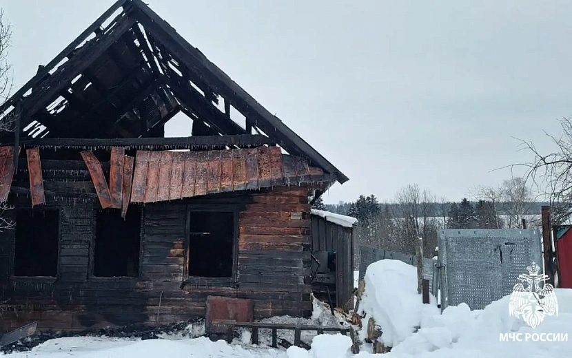 Фото: пресс-служба ГУ МЧС по Удмуртии