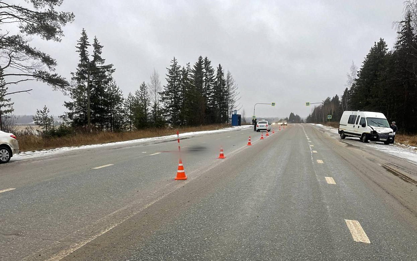 Фото: Госавтоинспекция УдмуртииФото: Госавтоинспекция УдмуртииФото: Госавтоинспекция УдмуртииФото: Госавтоинспекция Удмуртии