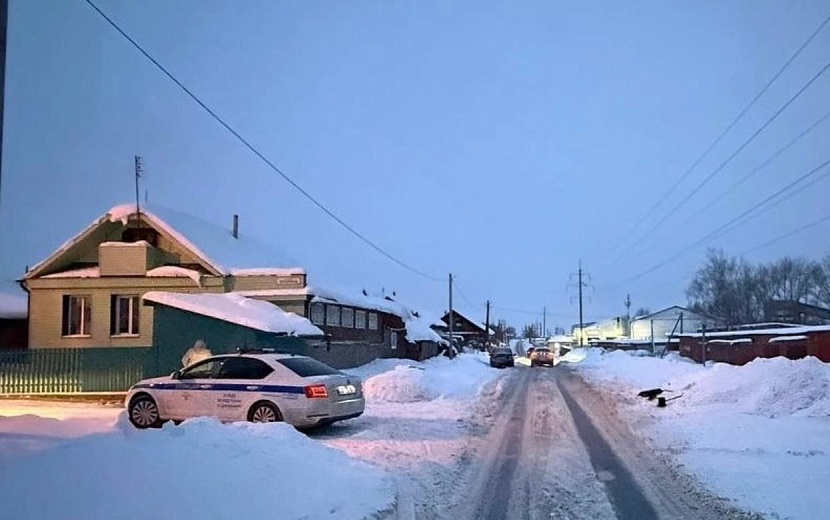 Фото: Госавтоинспекция Удмуртии