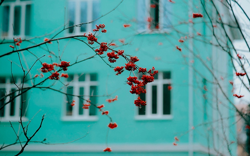 Фото: Мария Бакланова