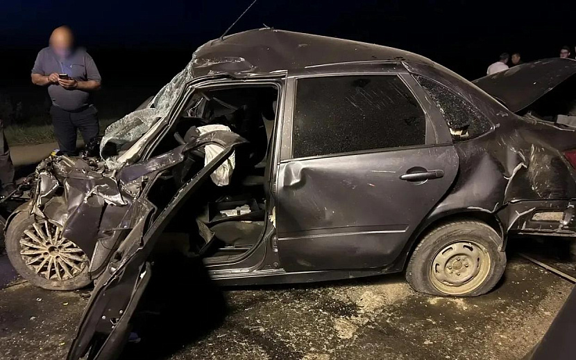 Фото: Госавтоинспекция Удмуртии