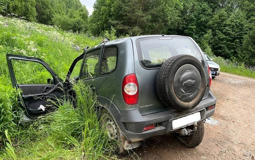 Фото: Госавтоинспекция Удмуртии