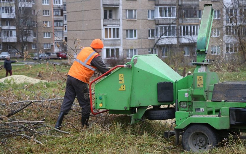 Фото: Дмитрий Чистяков
