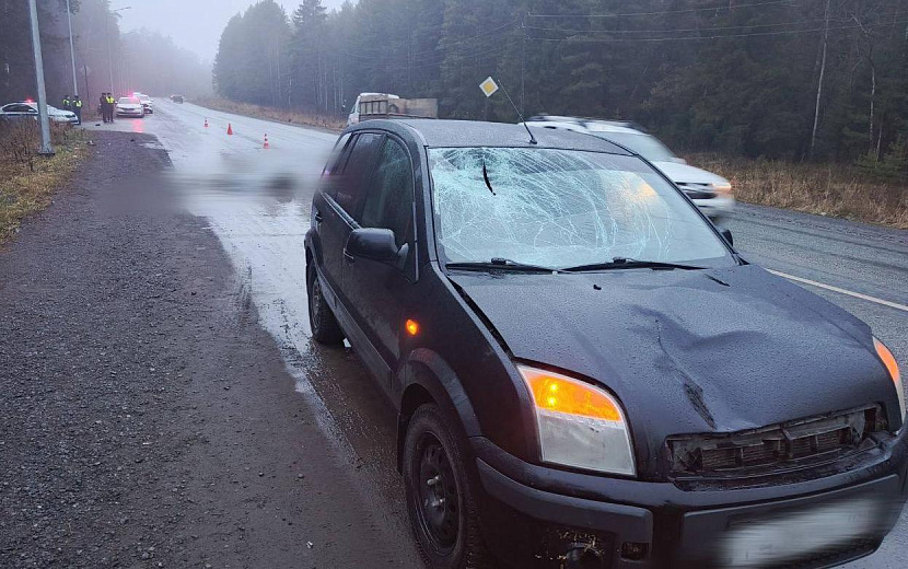 Фото: Госавтоинспекция Удмуртии